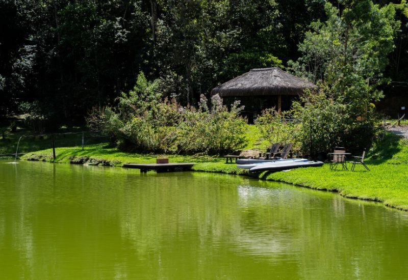 Lago